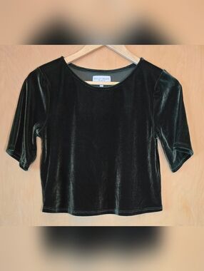 Ripley Rader Velvet Crop Top Olive Short Sleeve Boxy Size 2 (Small 4-6)